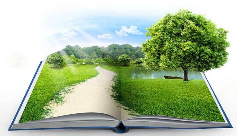 التنمية المستدامة